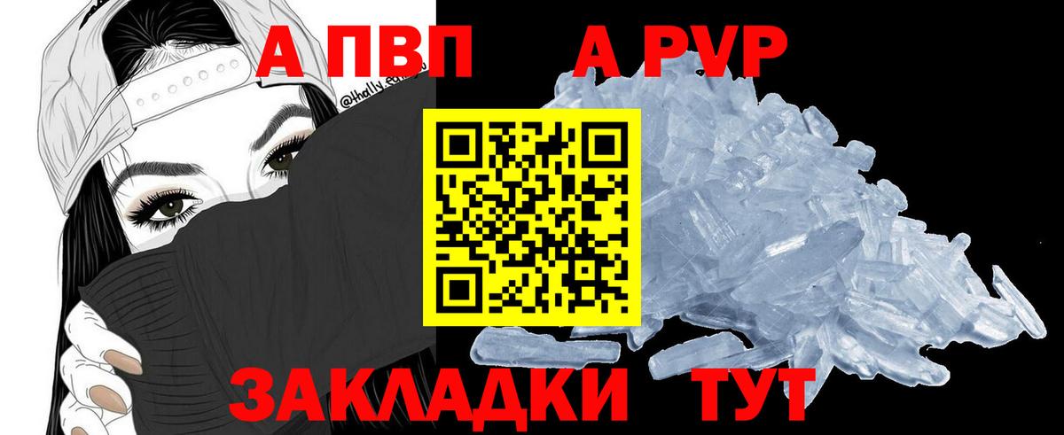 A PVP СК Печора