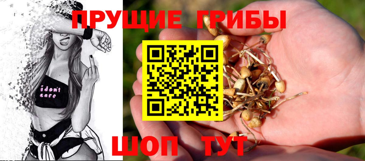 Печора  Псилоцибиновые грибы Magic Shrooms  Вход с VPN 
